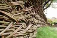 Willow gard - cel mai vechi gard cu proprietăți magice