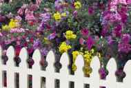 Cum sa faci propriul gard pentru flowerbeds