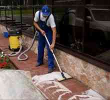 Ce și cum să se spele pe pavele de ciment?