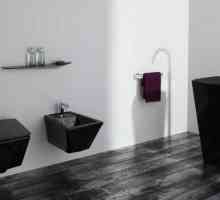 WC negru: în favoarea stilului modern,