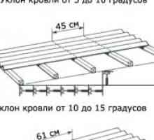 Sistemul Ctropilnaya acoperiș fronton