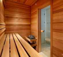 Proiecte de design saune si bai - au în vedere elemente noi