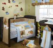 Idei interesante pentru design-boy camera copiilor