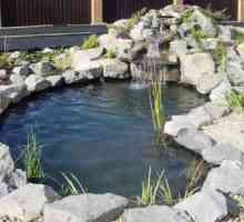 O combinație rafinat de apă și grădina de piatră peisaj
