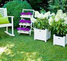Rafturi pentru flori: „acasă“ pentru plante si decoratiuni pentru interior