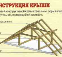 Cum sistemul de schelete de case din lemn
