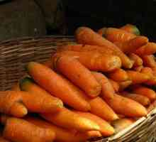 Cum se păstrează morcovi?