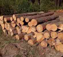 Cum să se usuce lemn?