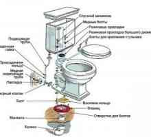 Cum se efectuează o reparație a unui vas de toaletă cu mâinile