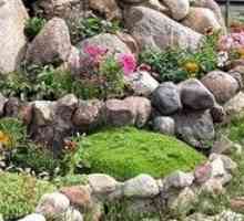 Cum de a face un pat de pietre și transforma grădina într-o oază înflorit?