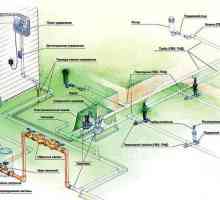 Sistem automat de udare pentru îngrijirea delicată a plantelor de grădină