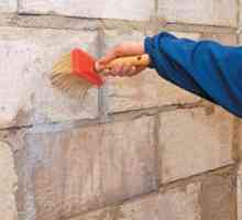 Cum să ipsos pereții blocului de spumă