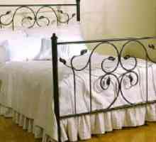 Cum să se uite paturi din fier forjat în interiorul dormitor?