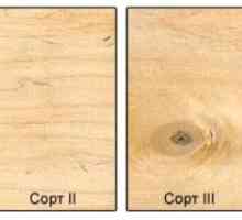Cum de a pune placaj pe podea de lemn și ce pentru a salva?