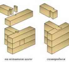 Cum de a construi case de vara clasa economic din lemn profilat?