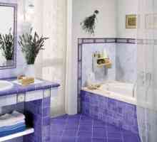 Cum de a decora peretii din baie?