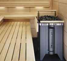 Cum de a alege un cuptor electric pentru sauna?