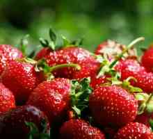 Cum să crească căpșuni pe site-ul dvs. grădină