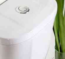 Cum să înlocuiți rezervorul de toaletă de supapă