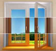 Ce fel de ferestre este mai bine pentru a alege pentru casa?