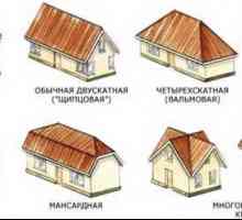 Ce materiale pentru a alege pentru construirea unui acoperiș de case din lemn?
