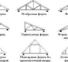 Care este rolul sistemelor de acoperiș?
