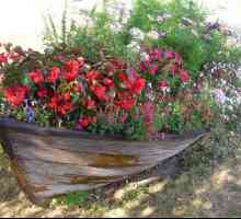 Un pat de flori în barcă: o idee stralucita de ornamente de gradina originale