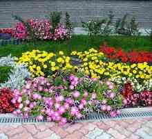 Paturi de flori și grădini de flori din țară: în cazul în care pentru a începe