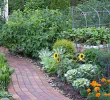 Paturi frumoase - decorațiuni de grădină și un angajament de recoltă abundentă