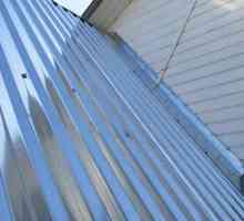 Acoperiș de acoperiș din oțel galvanizat: dispozitivul, întreținere, reparații