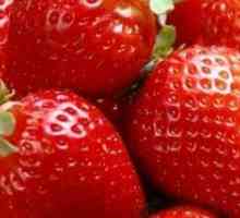 Mici secrete de producții mari de căpșuni