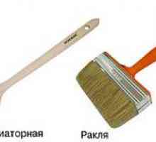 Paintbrush: tipuri, de îngrijire și de formare