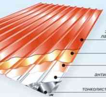 Profile metalice. Montarea izolației acoperișului și acoperișului