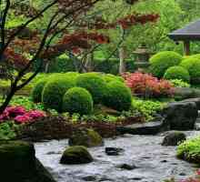 Decorațiuni de grădină în stil japonez