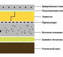 Principalele etape ale stabilire concrete pe teren