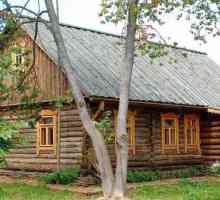 Principalele metode de finisare exterioare de case din lemn