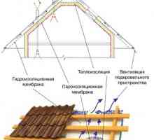 Bazele de instalare a acoperișului de carton ondulat