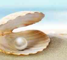 Caracteristici de brățară perla