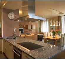 Living caracteristici de design de bucătărie cameră într-o casă privată