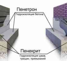 Caracteristici de ciment rezistent la apa