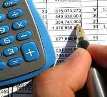 Caracteristici ale auditului fiscal la închidere Ltd.