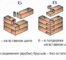 Caracteristici ale construcției de case și băi din fascicul