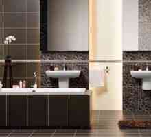 Caracteristici ale tehnologiei de proiectare cameră gresie baie