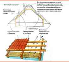 Caracteristici Tehnologia izolației acoperișului din metal: alegerea izolației