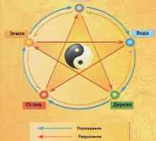 Cele cinci elemente Feng Shui