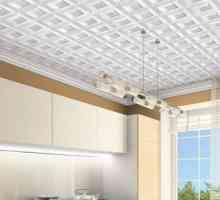 Placi tavan: materiale de finisare moderne pentru proiectarea plafon