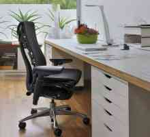 Reguli pentru alegerea unui scaun de birou: loc de muncă confortabil acasă și la birou