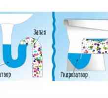 Cum să facă față cu problema mirosurilor în baie de la chiuveta
