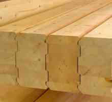 Inerente argumente pro și contra în formă de lemn