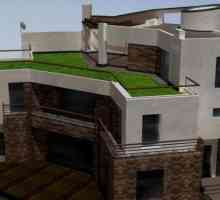Proiecte cu o clădire de acoperiș plat - o decizie îndrăzneață
